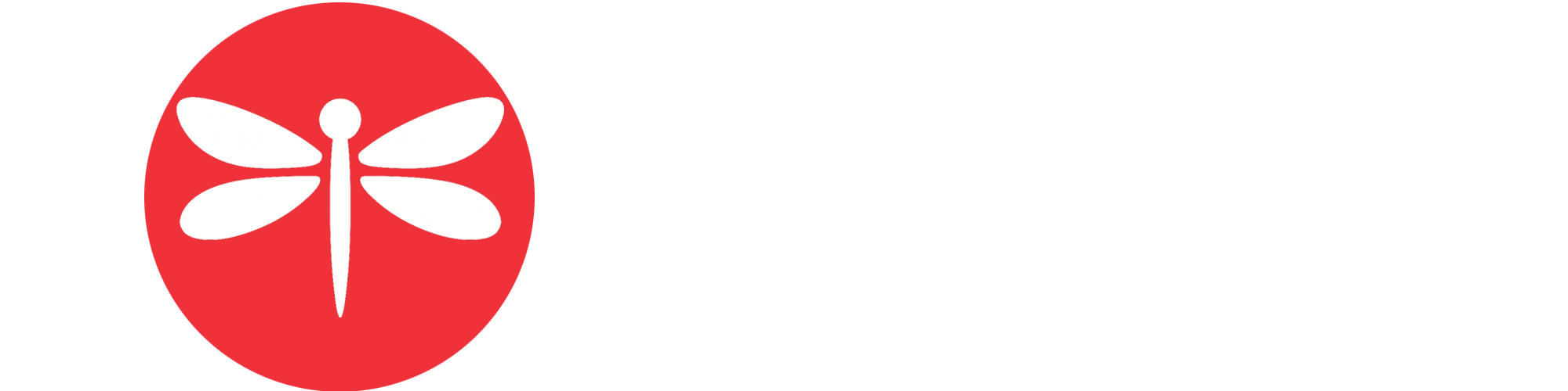 Draca Technology – Digital Solutions, Web Development & Cloud Services